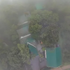 Resort Lakkidi Mist 