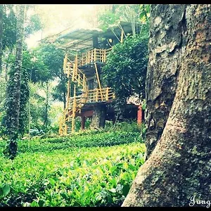 Farm stay Jungle Jive Treehouse And 